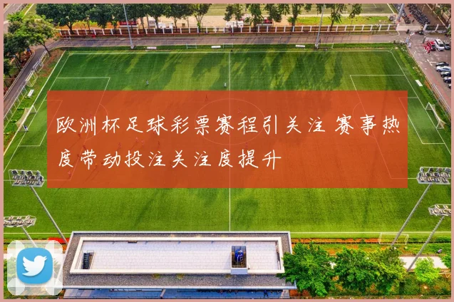欧洲杯足球彩票赛程引关注 赛事热度带动投注关注度提升